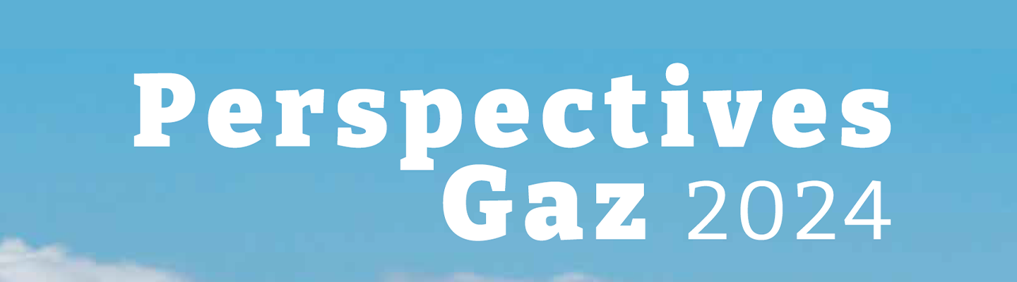 Perspectives gaz : les prévisions à l’horizon 2030 et 2035.