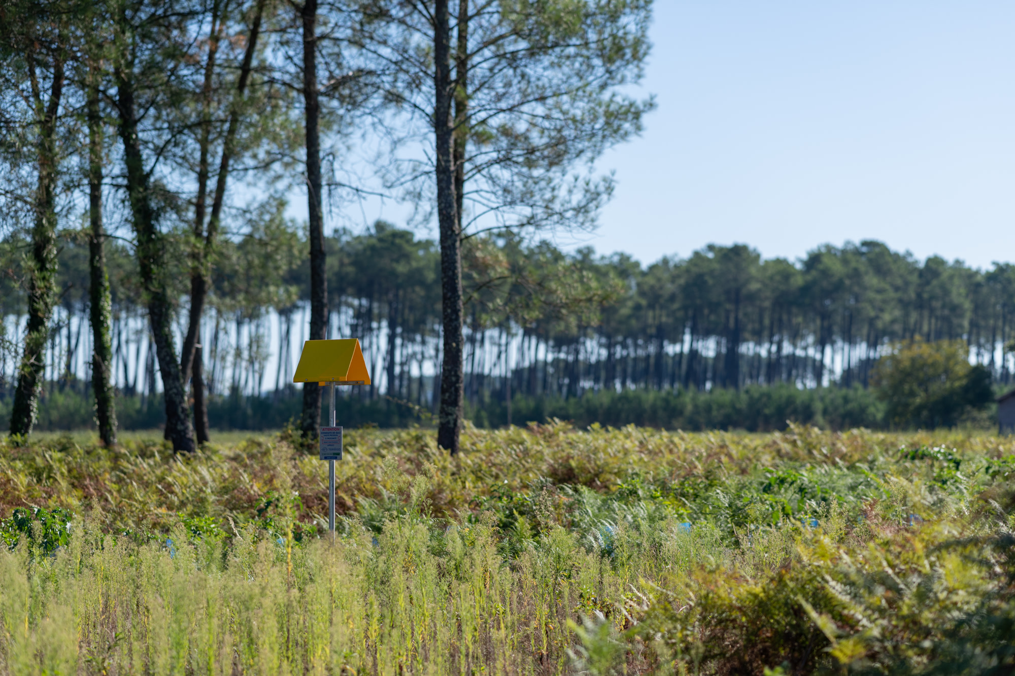 transport-gas-Rion-des-Landes