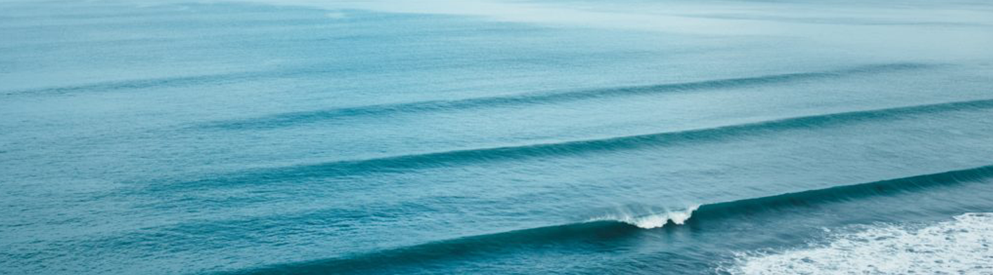 Water Family : éduquer et former aux enjeux de l’eau  