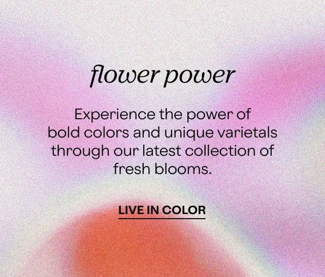 flower power Experience the power of bold colors and unique varietals through our latest collection of fresh blooms.  LIFE IN COLOR