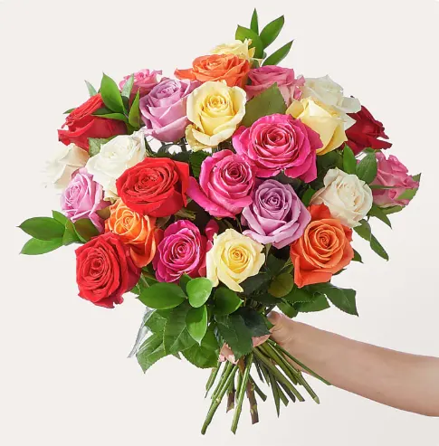 Mixed Roses