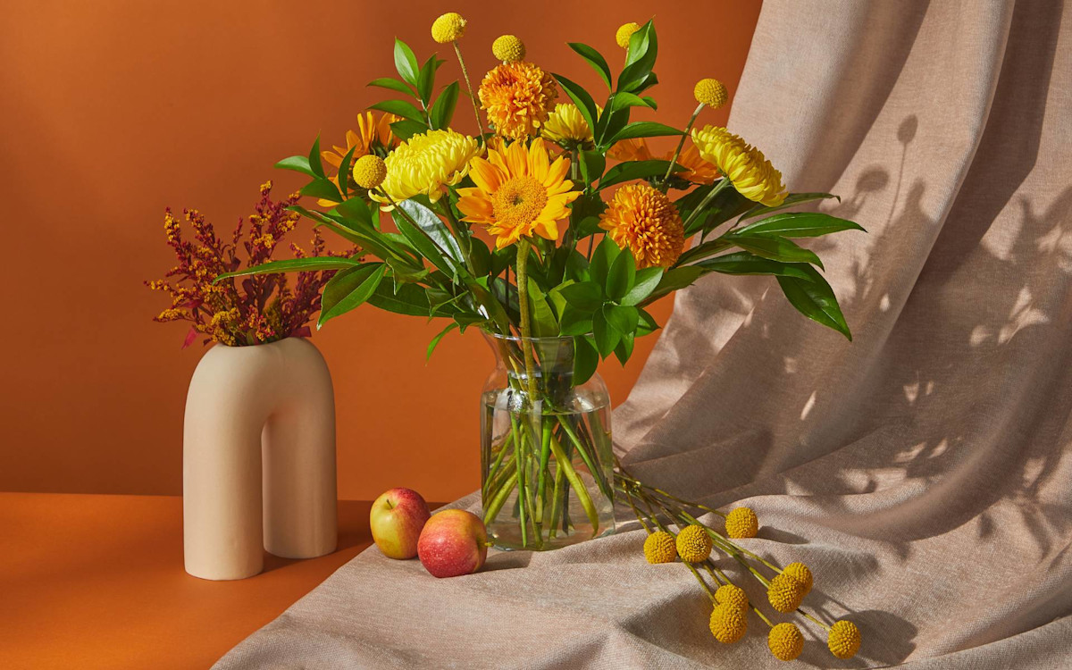 Fall Collection 2022 Fall Delivery FTD