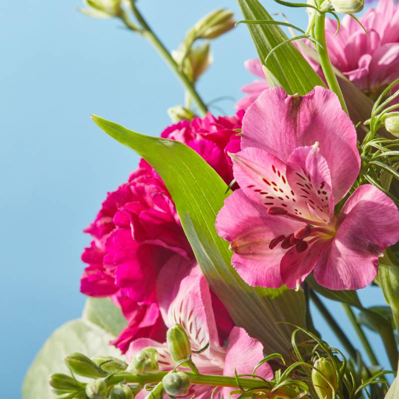  Sympathy Flowers