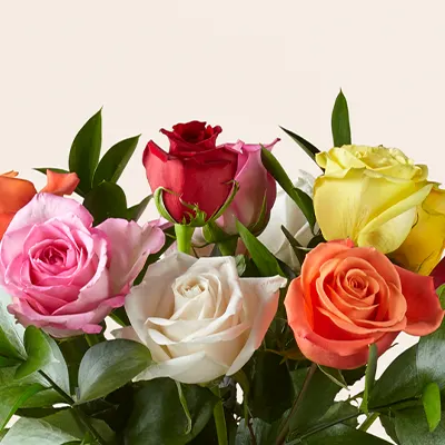 multi-color roses