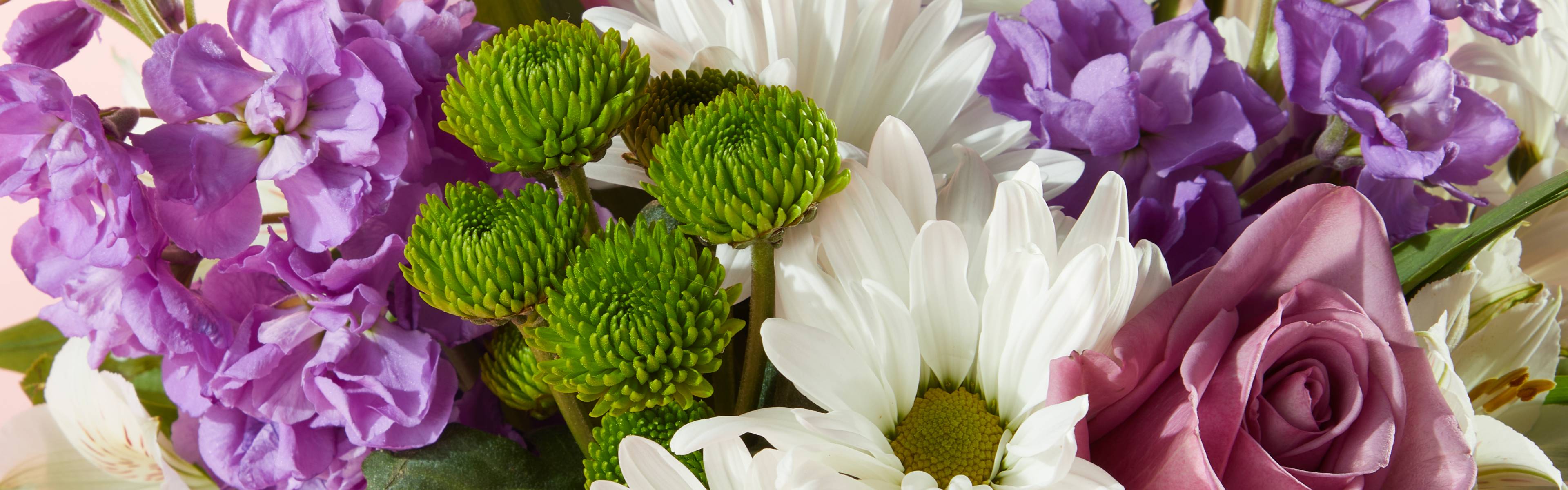 Oberers Flowers Promo Code Best Flower Site