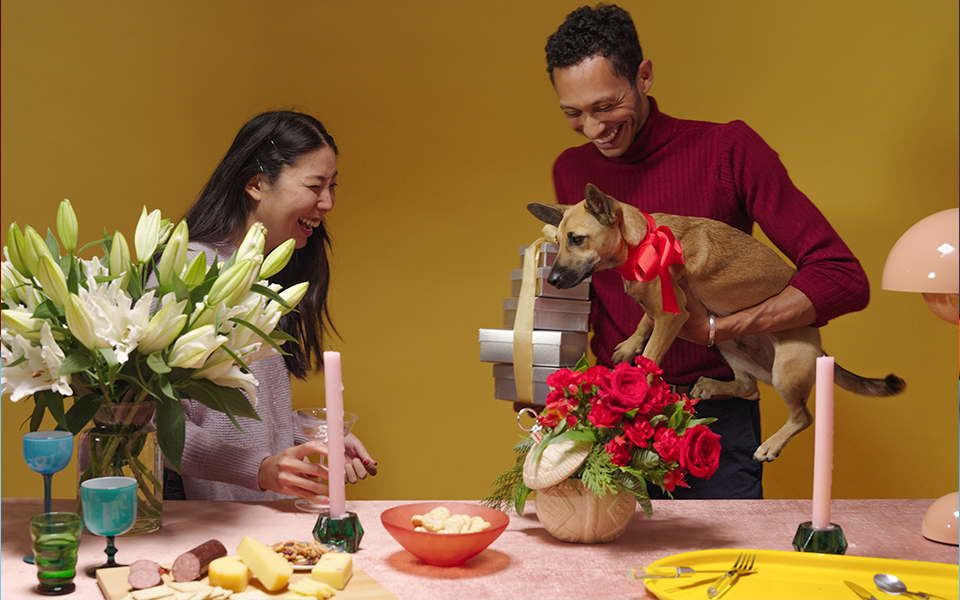 Proflowers christmas plants