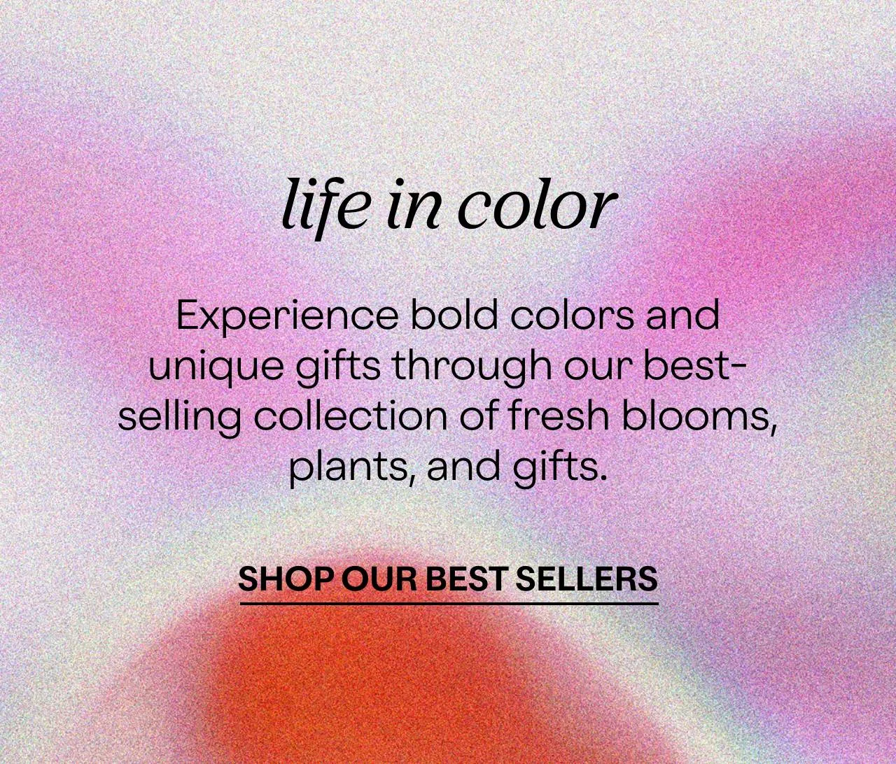 life in color Experience the power of bold colors and unique varietals through our latest collection of fresh blooms.  LIFE IN COLOR