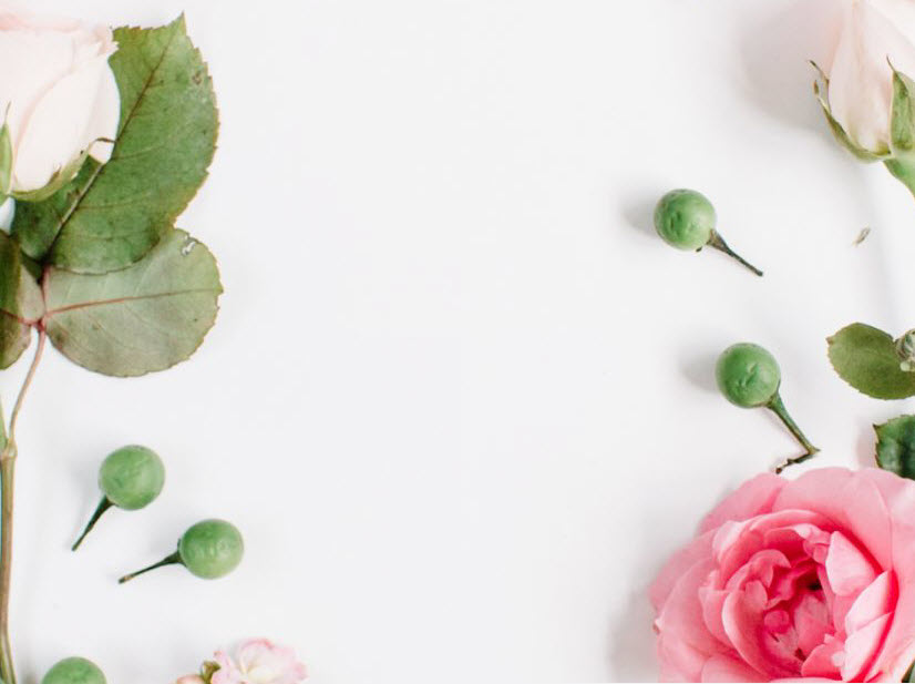 Proflowers Customer Service