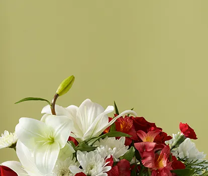 season in bloom mobile