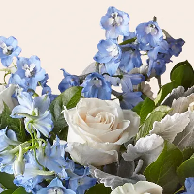 Blue Bouquets