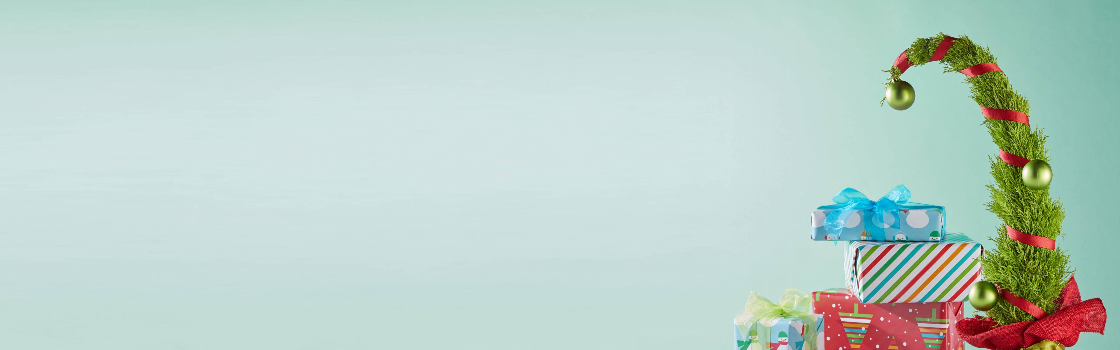 Proflowers christmas plants