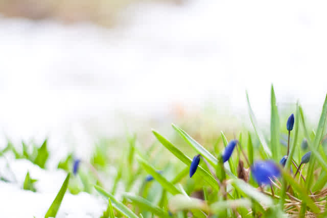 An Ode to the First 60 Degree Day of the Year