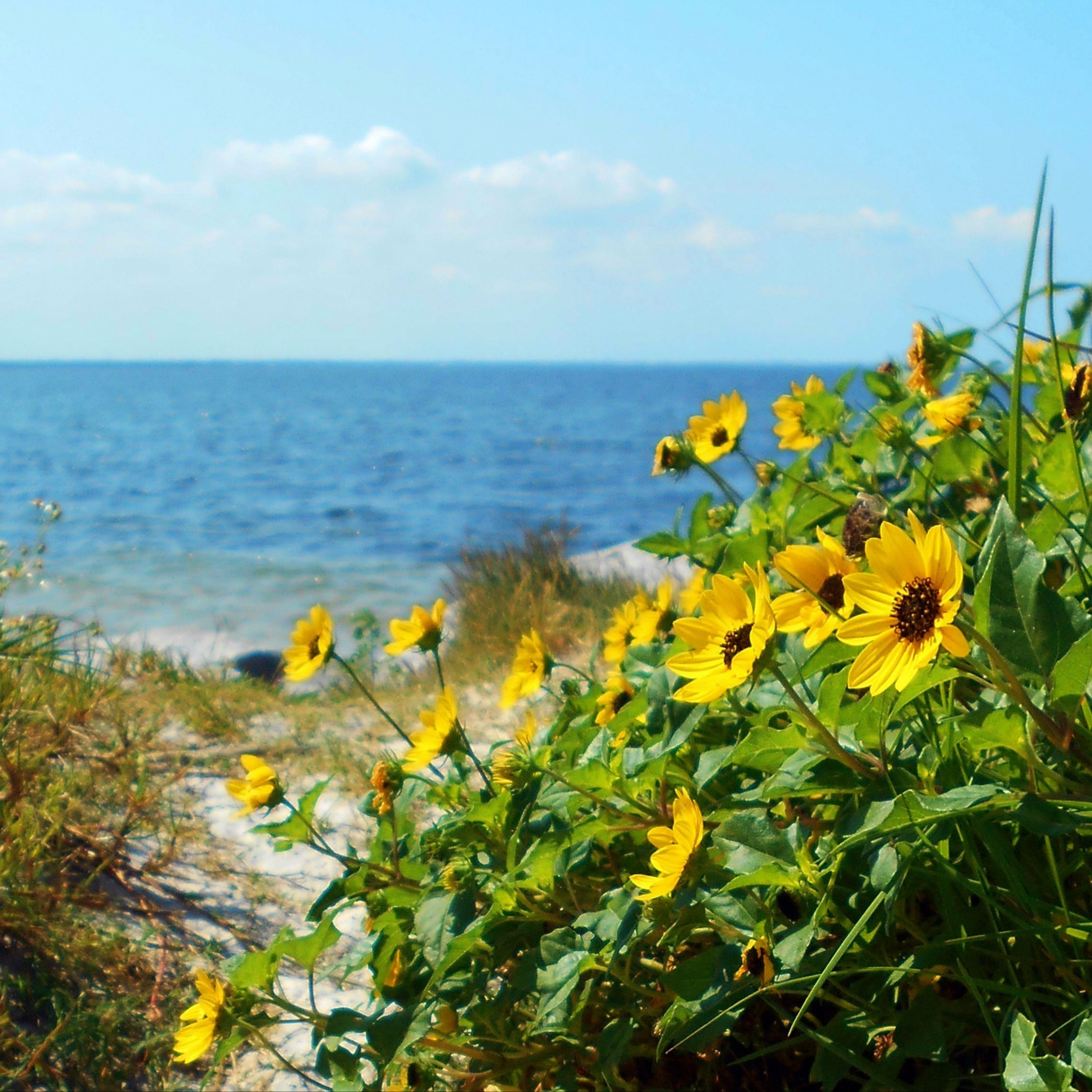 agency team hero image