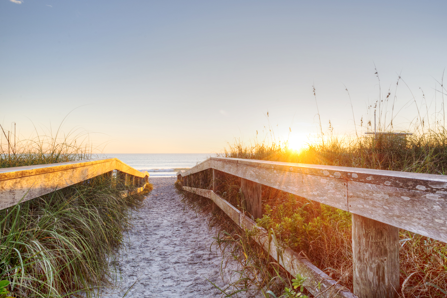 agency team hero image