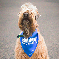 Rizzo Nadelhoffer from The Nadelhoffer Family Agency, Brightway Insurance