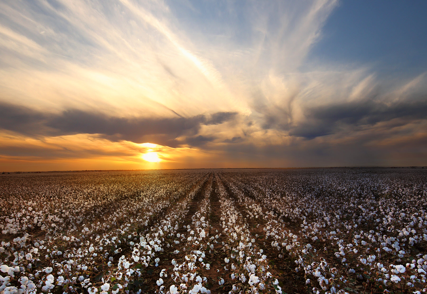 agency team hero image