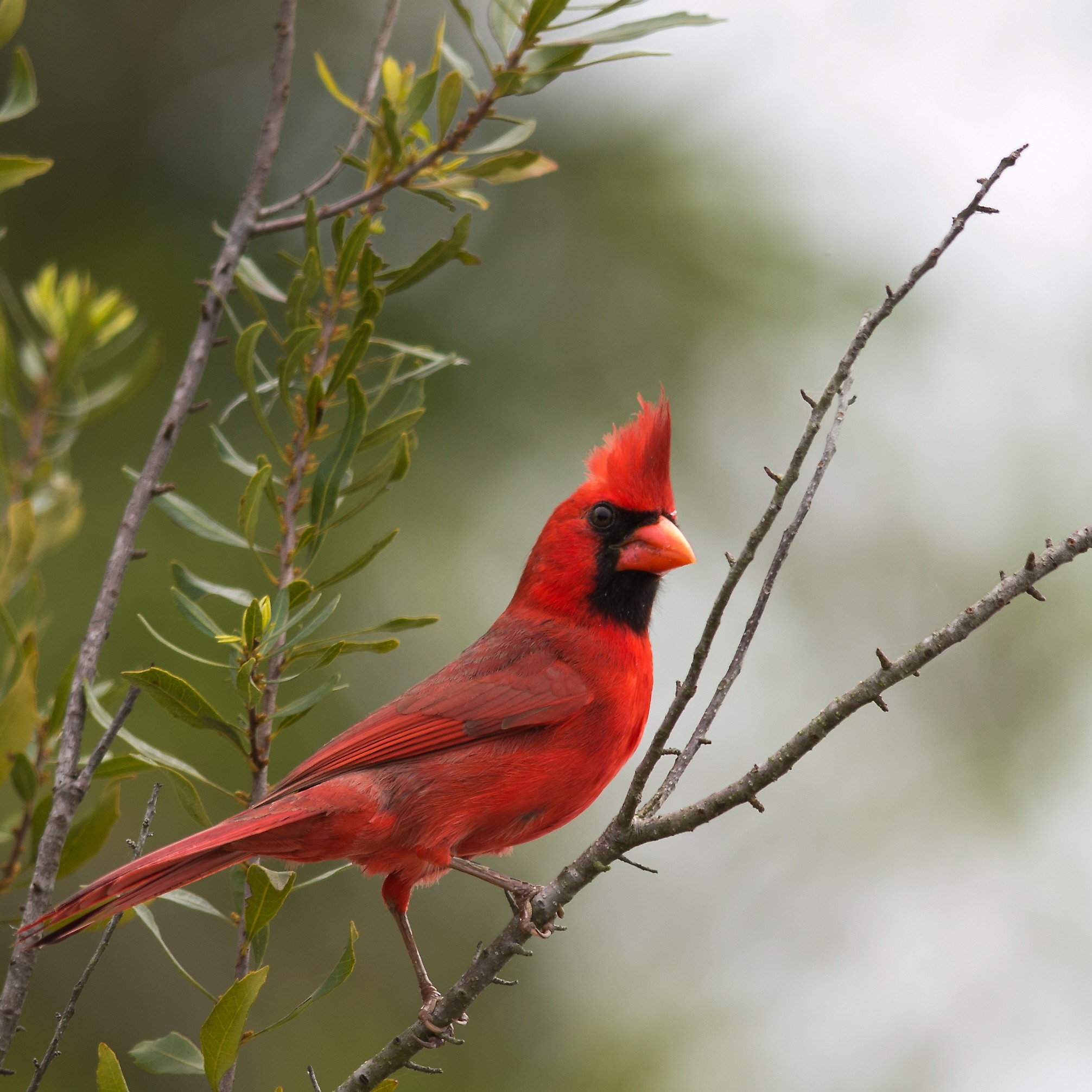 The insurance <br />agency reinvented <br />around you.<sup>®</sup>