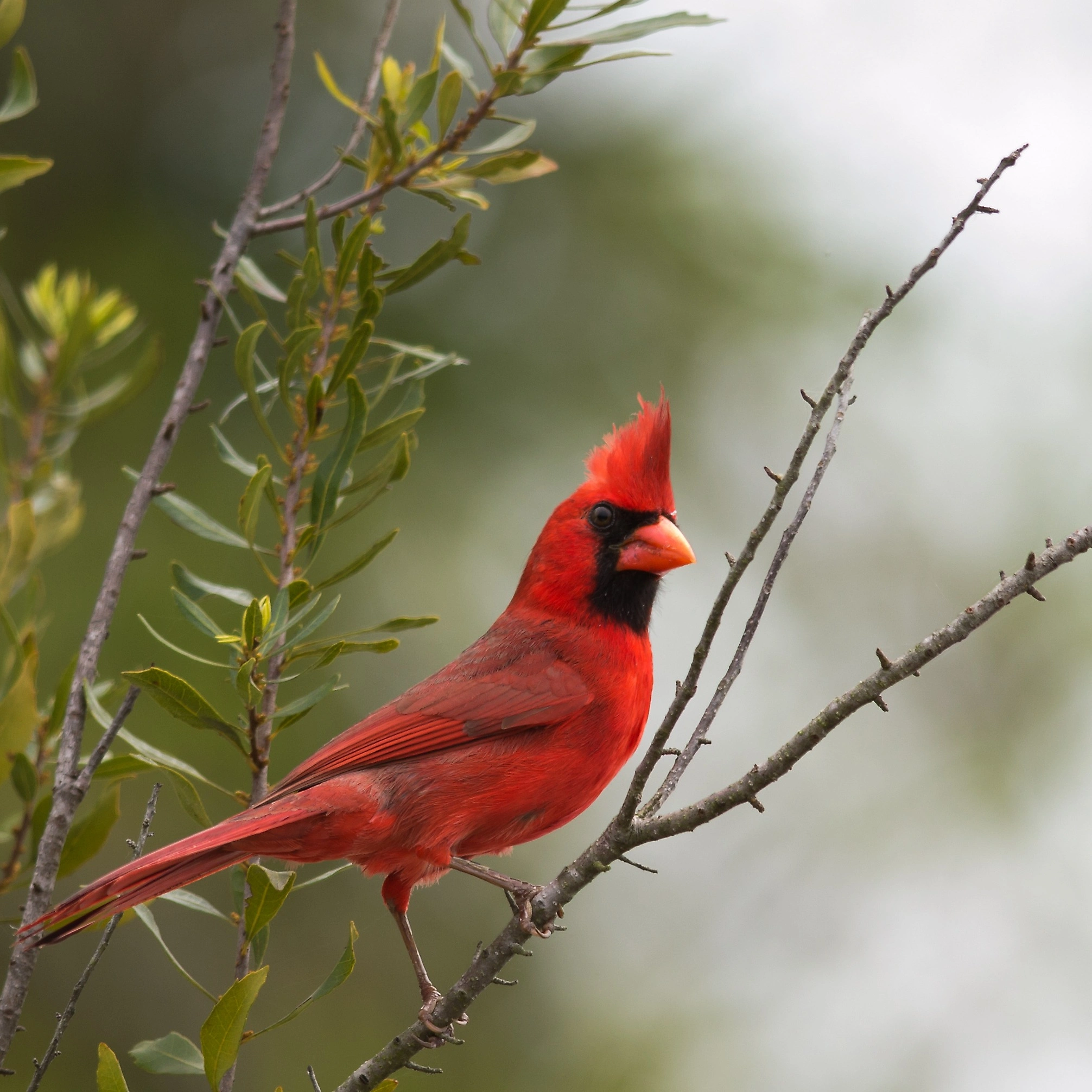 The insurance <br />agency reinvented <br />around you.<sup>®</sup>