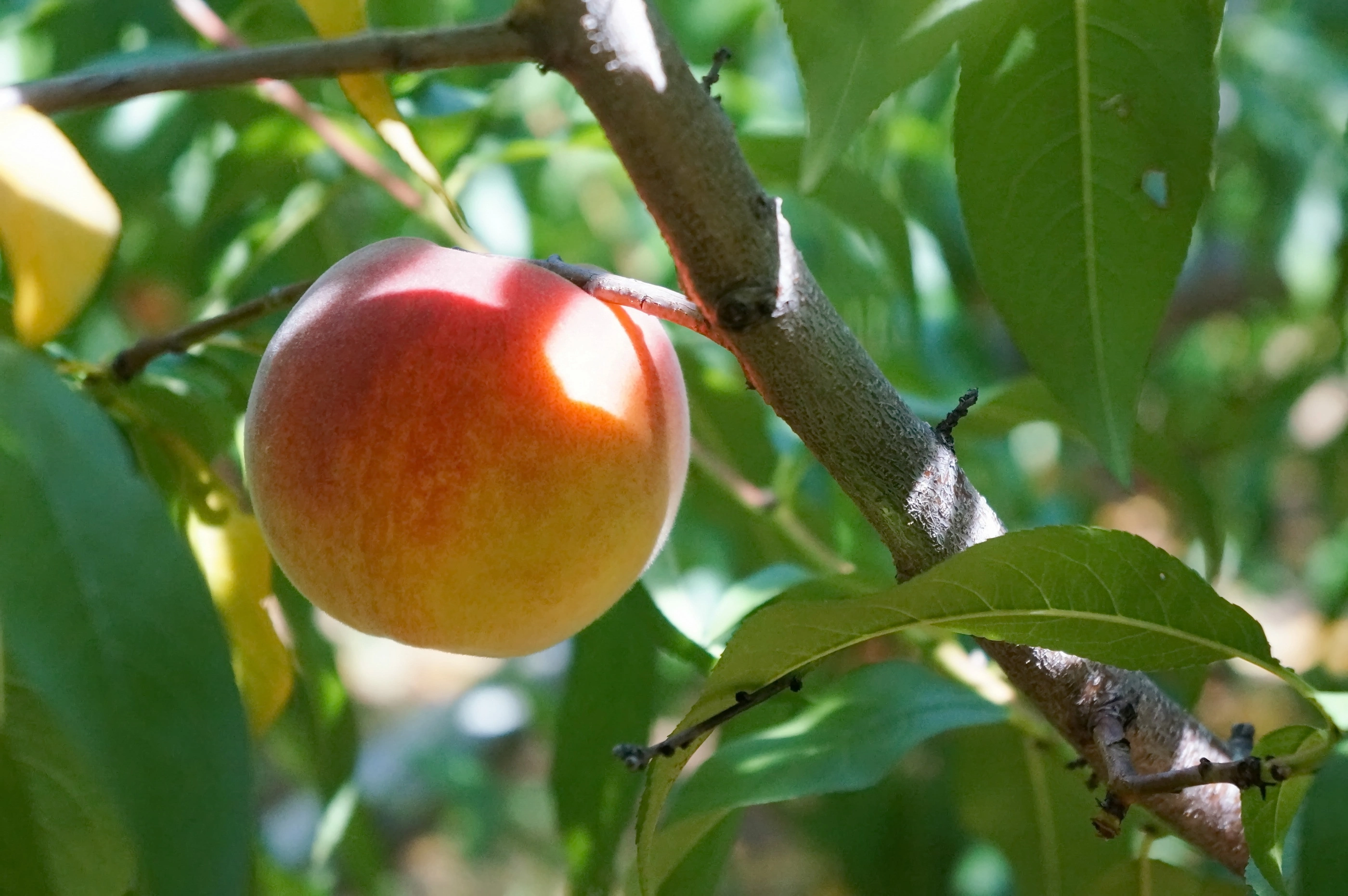 agency team hero image