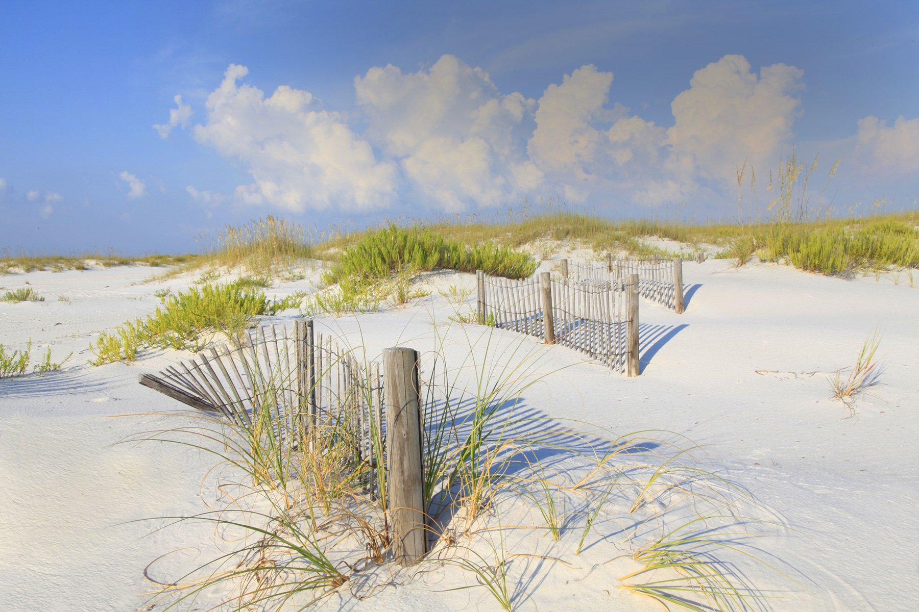 agency team hero image