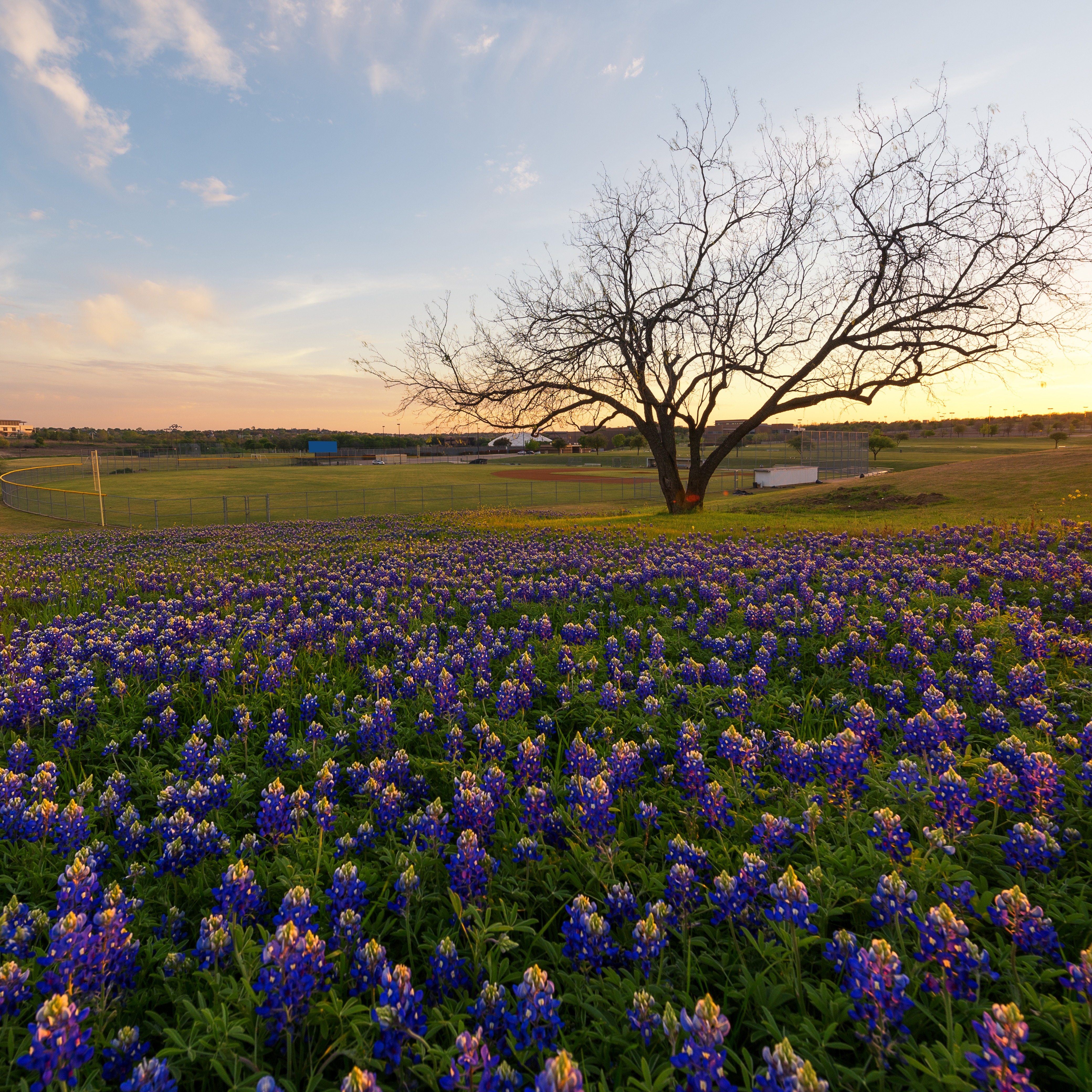 The insurance <br />agency reinvented <br />around you.<sup>®</sup>