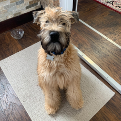 Louis Wayne Nadelhoffer aka "Louie" from The Nadelhoffer Family Agency, Brightway Insurance