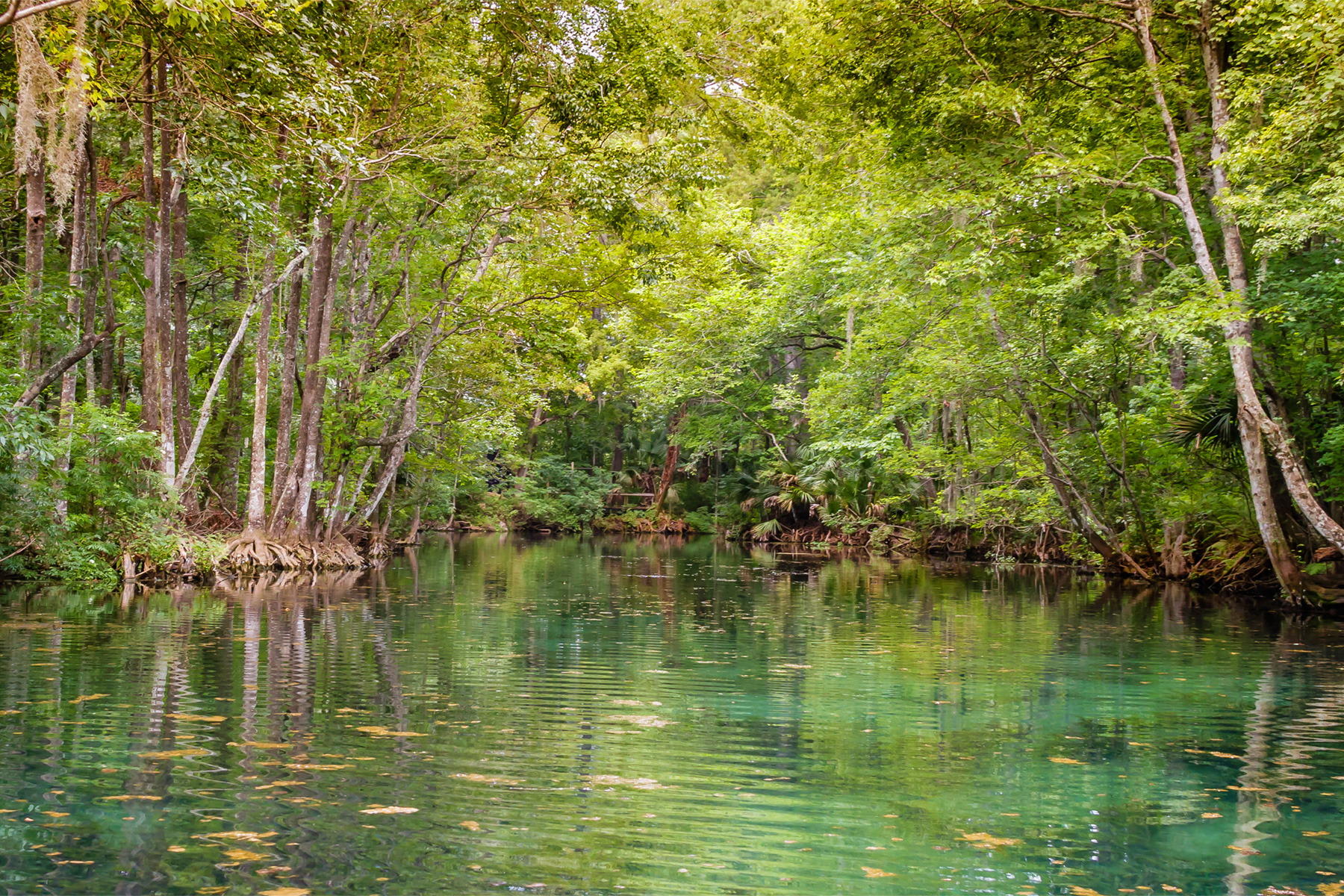 agency team hero image