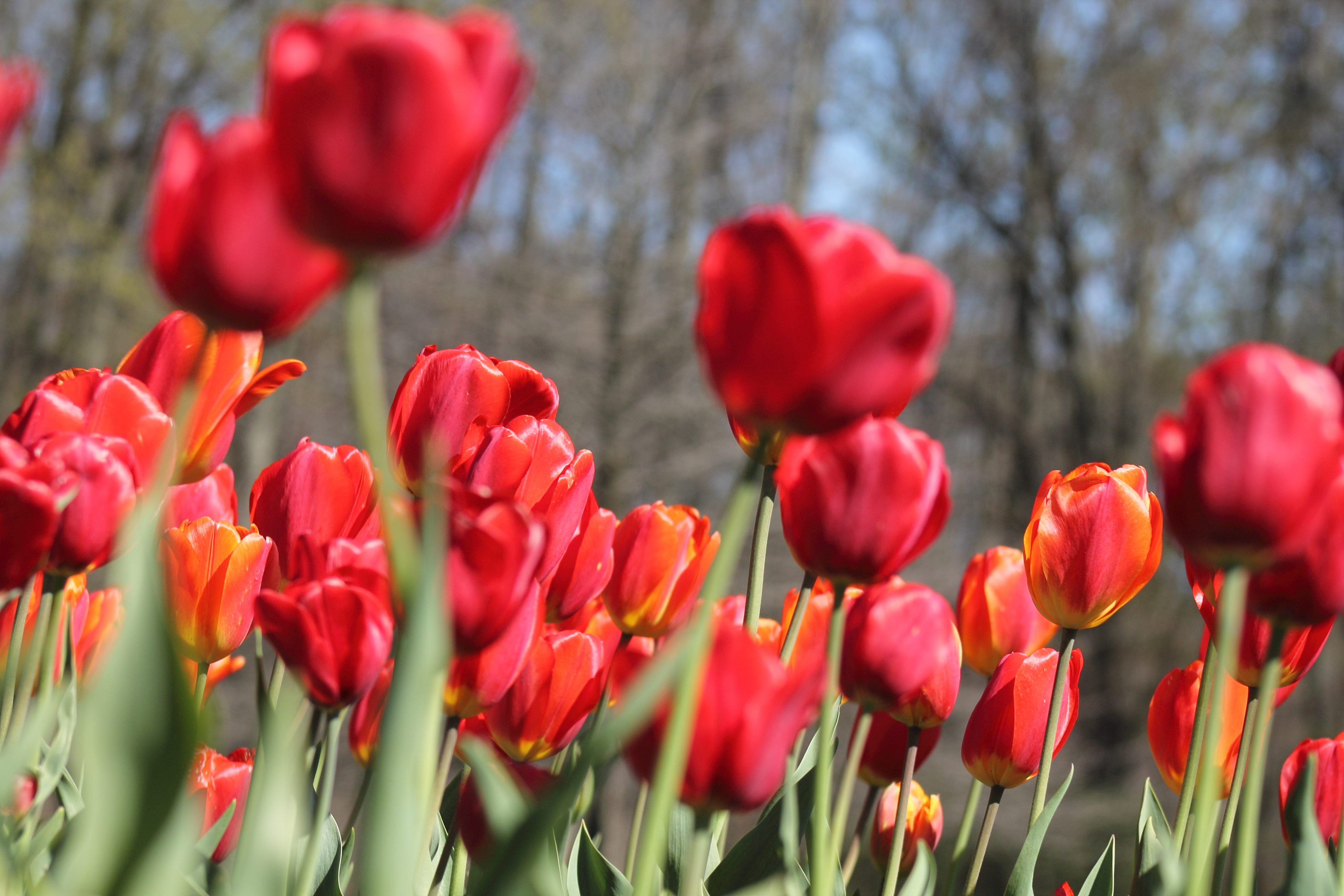 agency team hero image