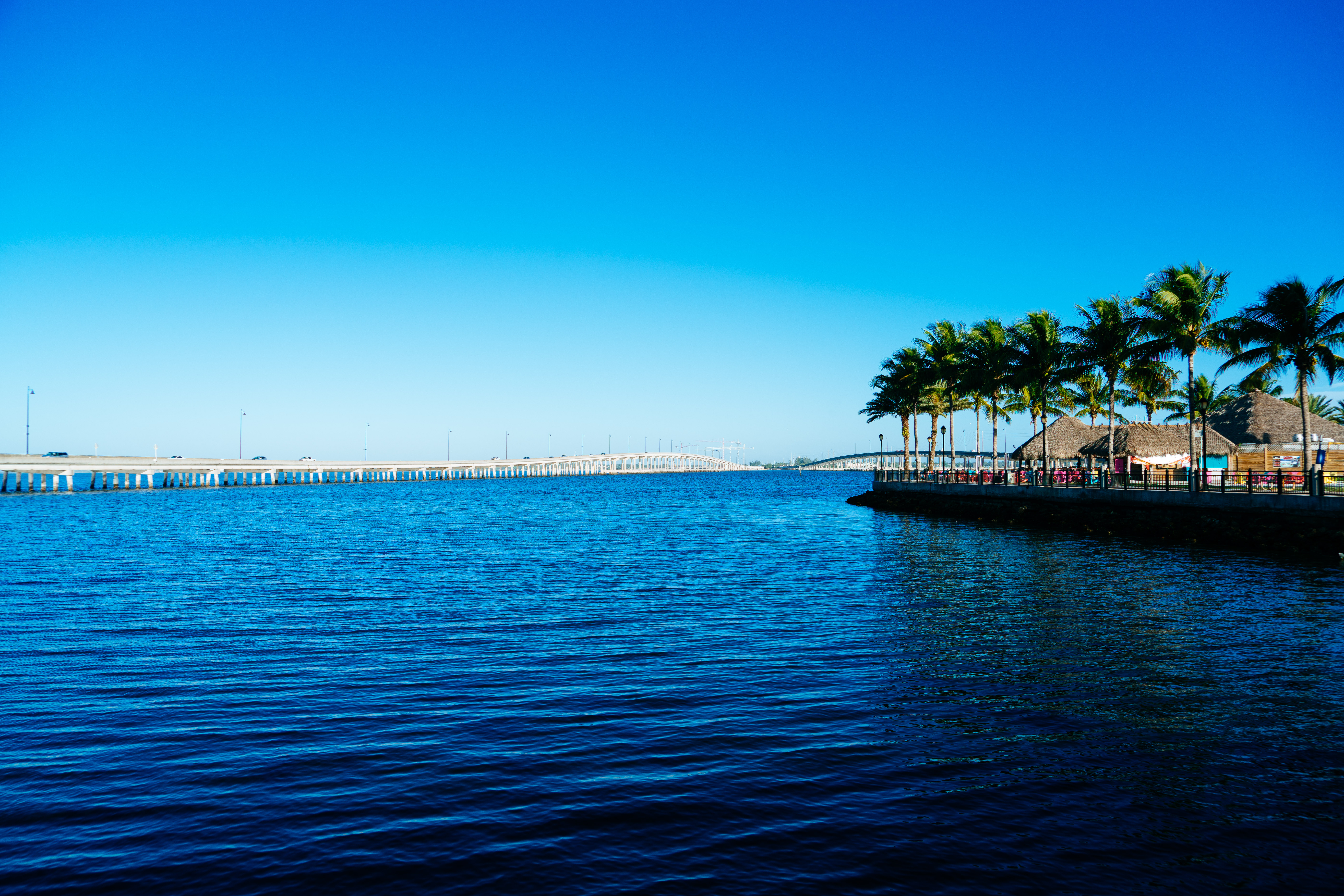 agency team hero image