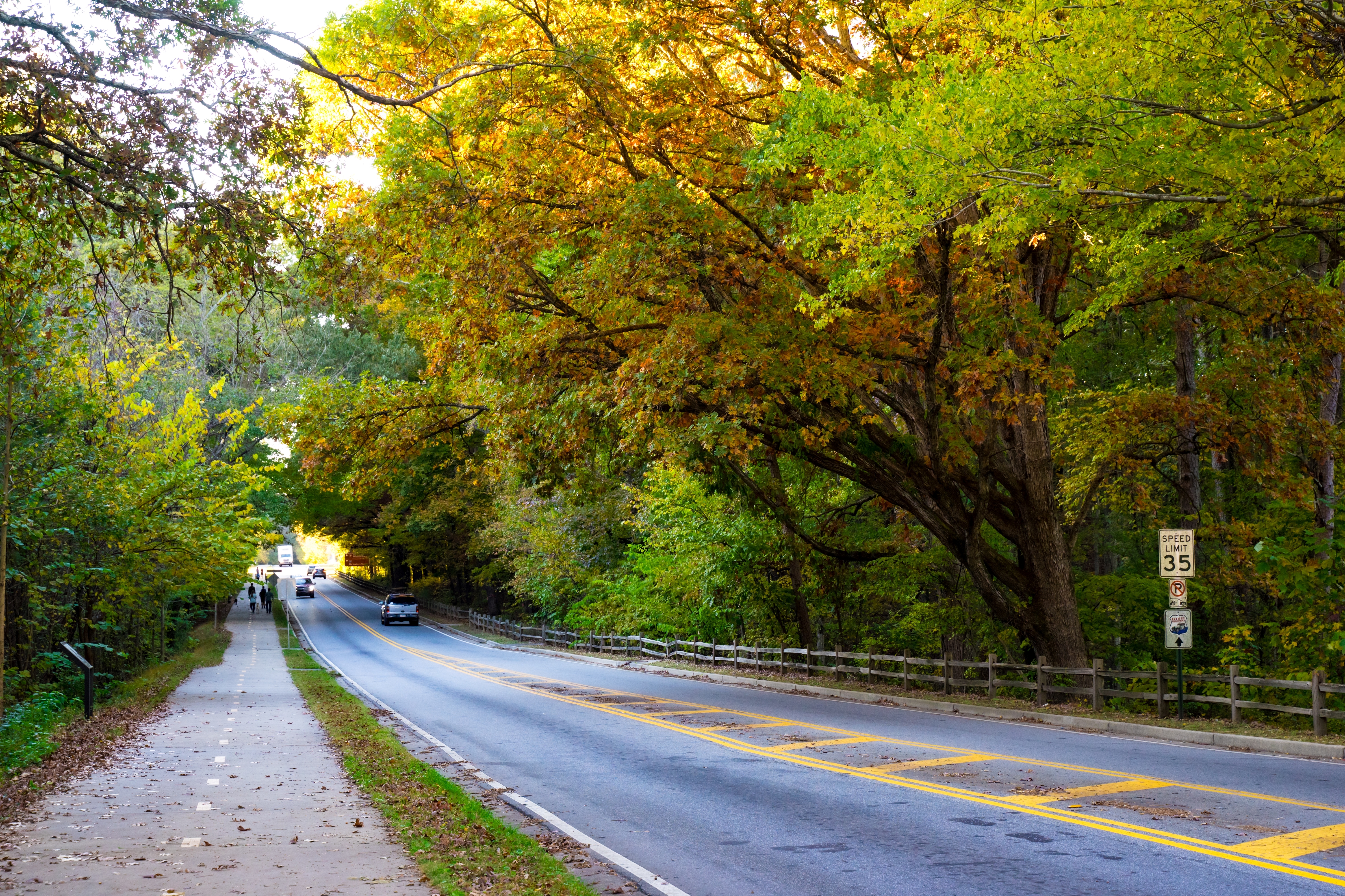 agency team hero image