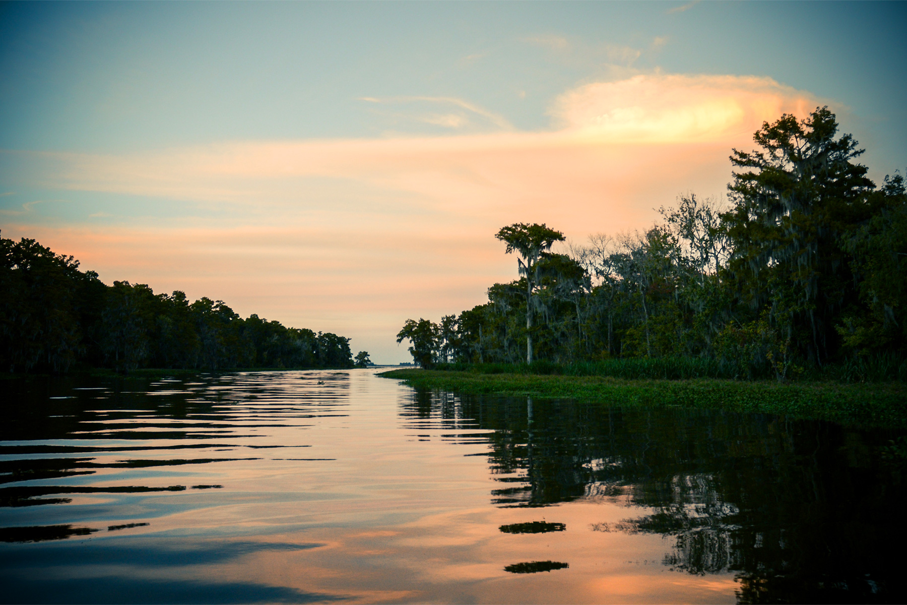 agency team hero image