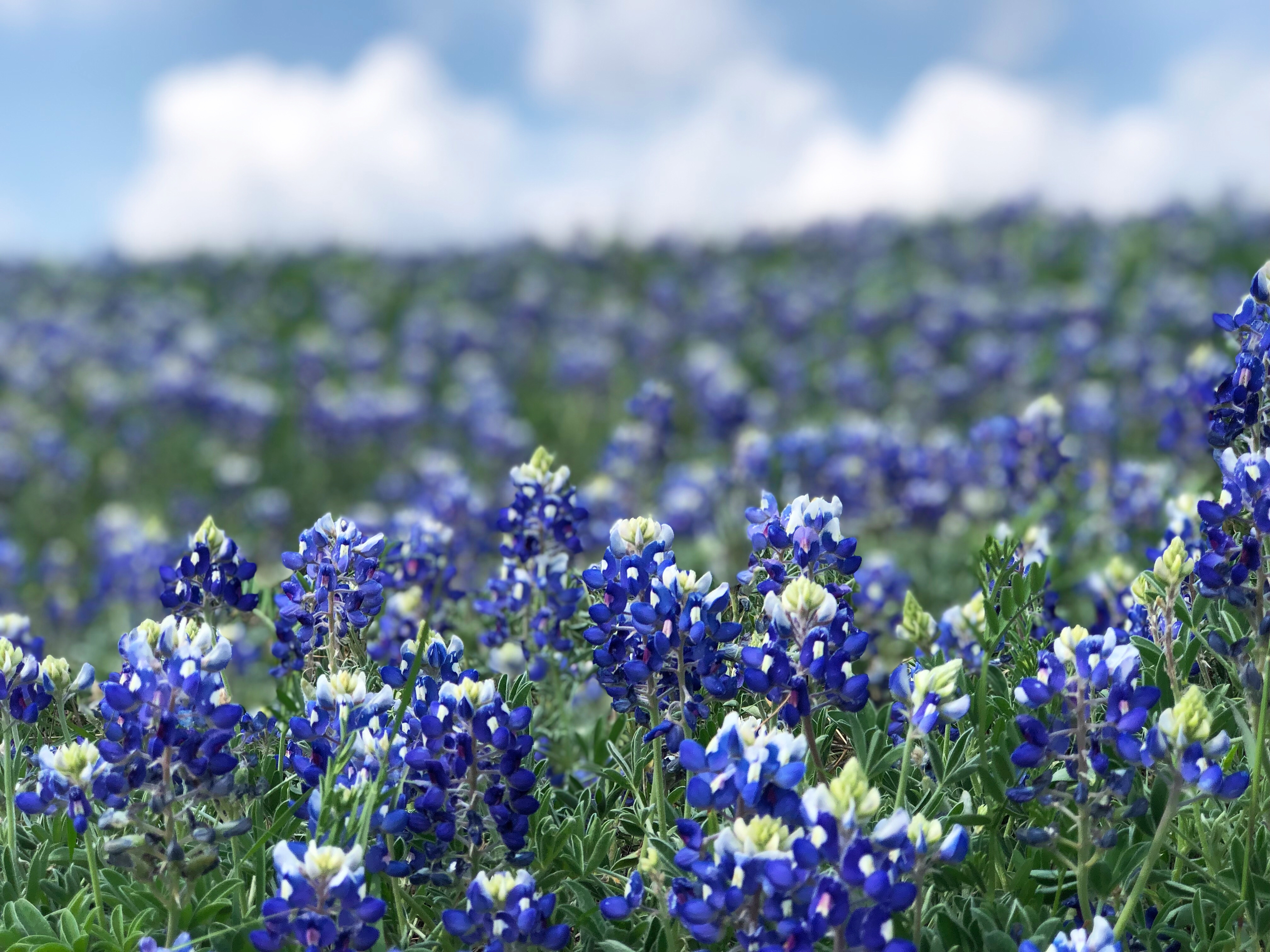 agency team hero image