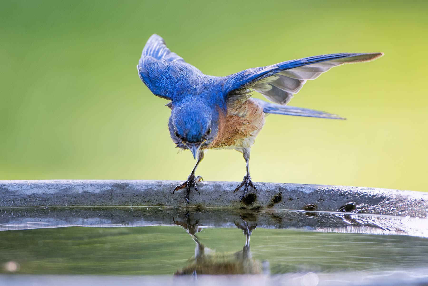 agency team hero image