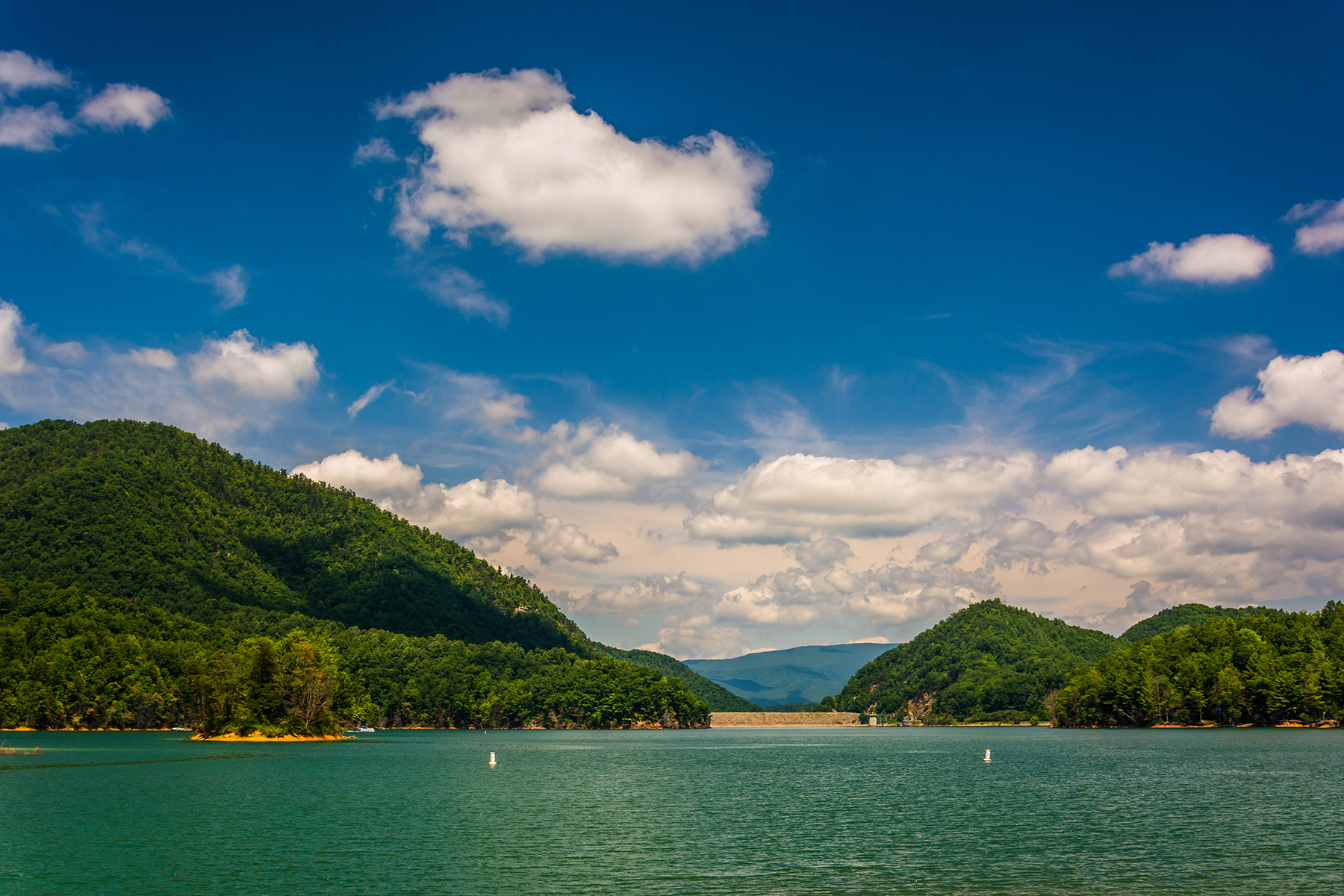 agency team hero image