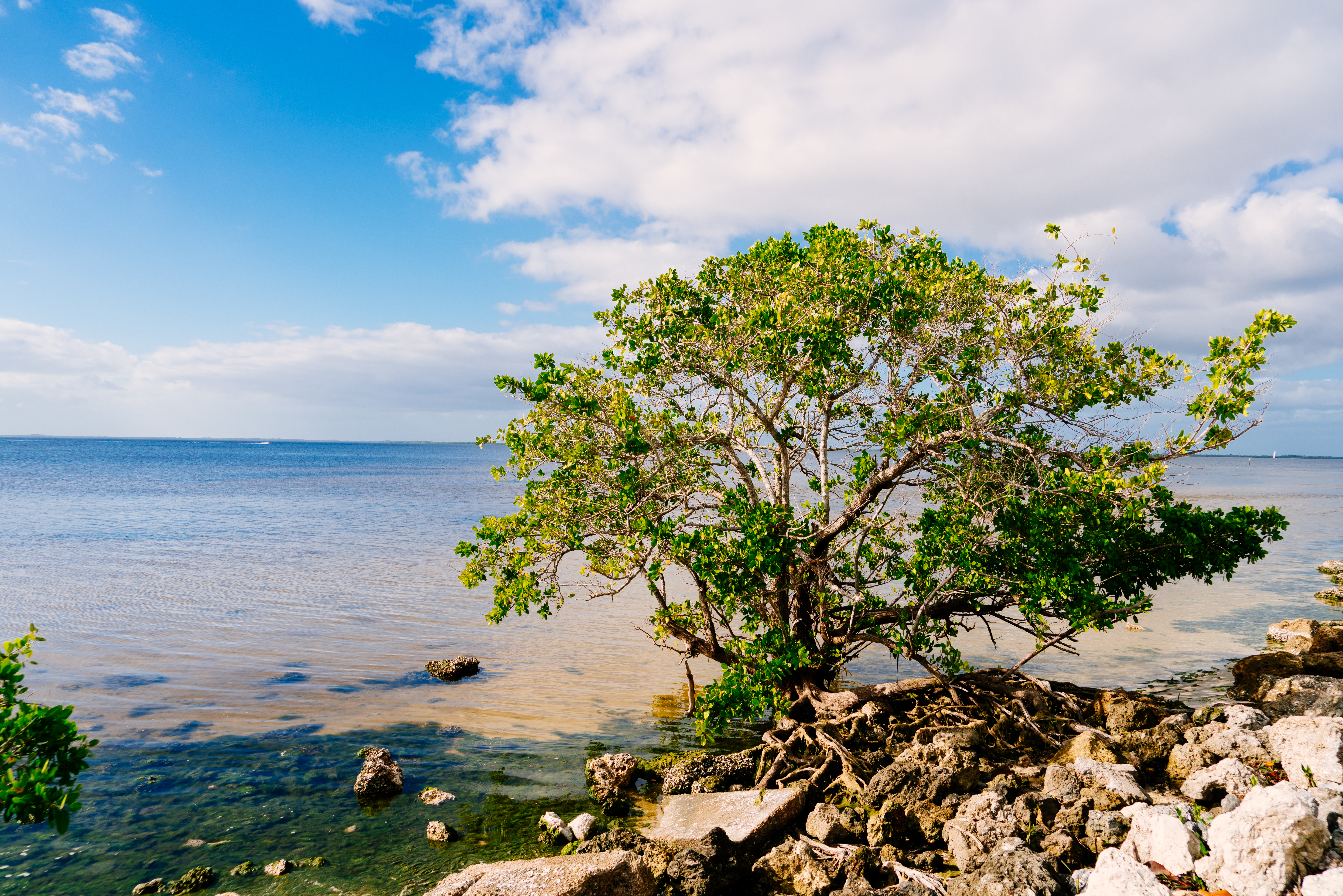 The insurance <br />agency reinvented <br />around you.<sup>®</sup>