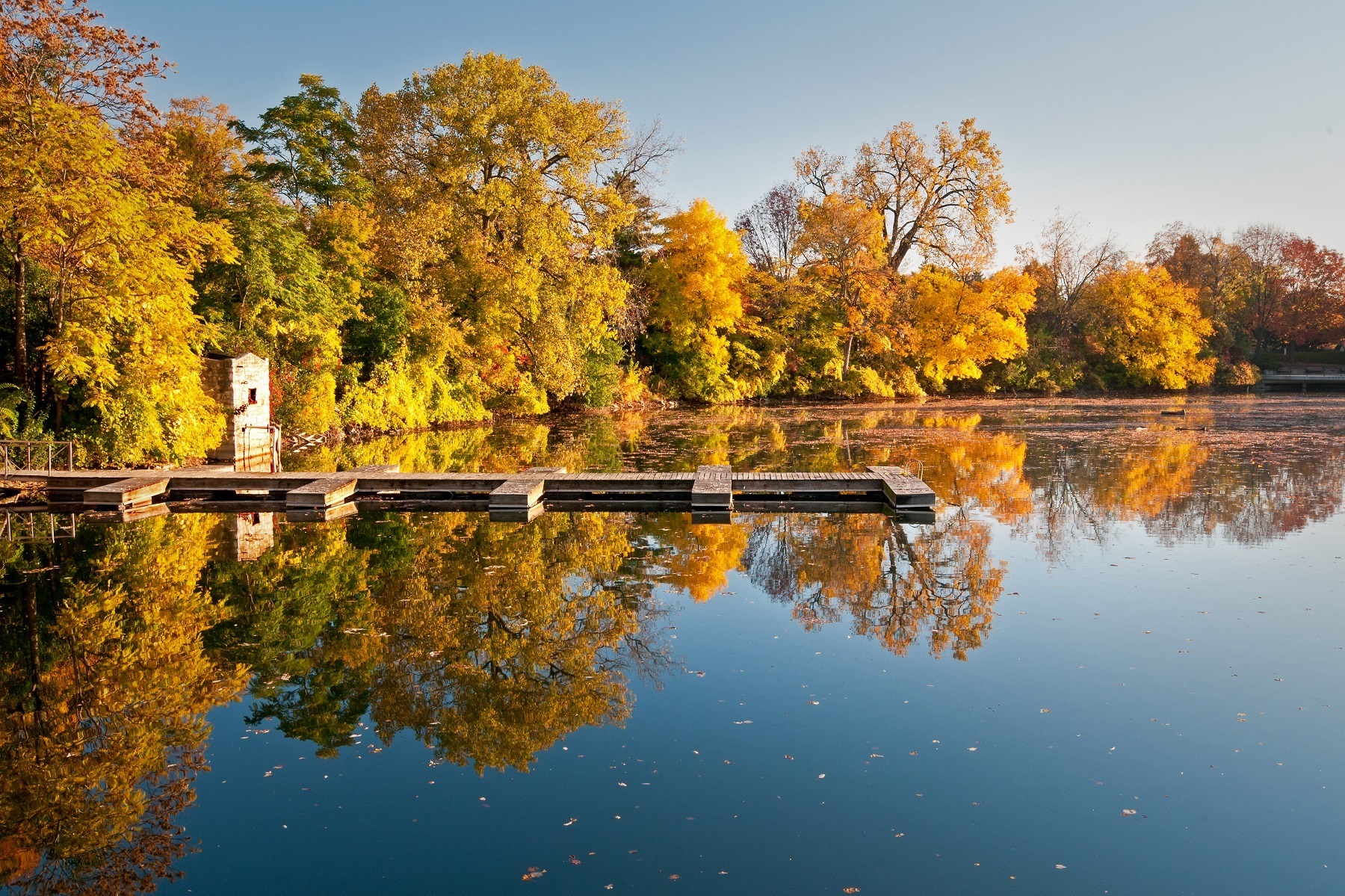 agency team hero image