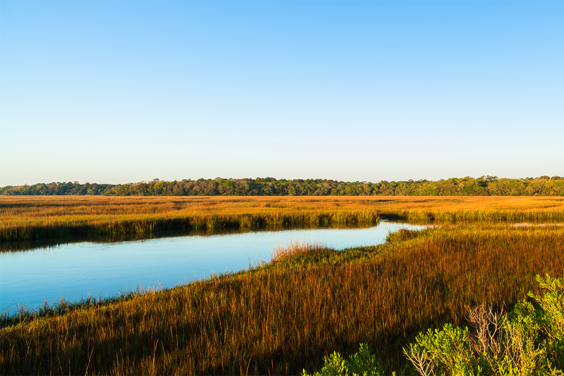 agency team hero image