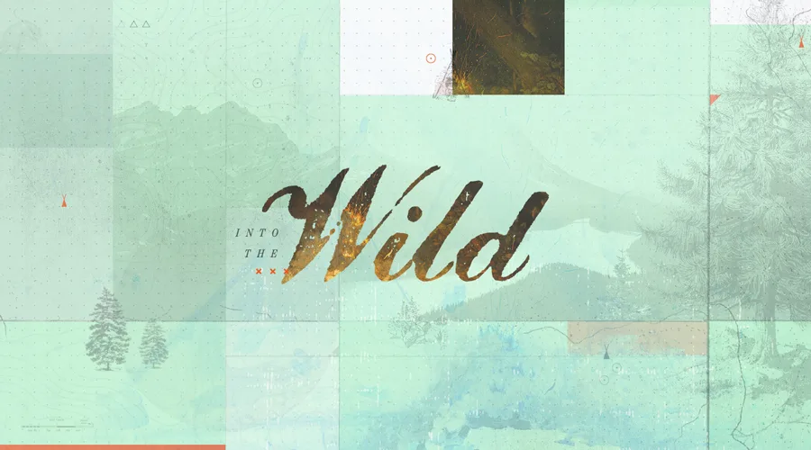 Shop Indie: Into the Wild