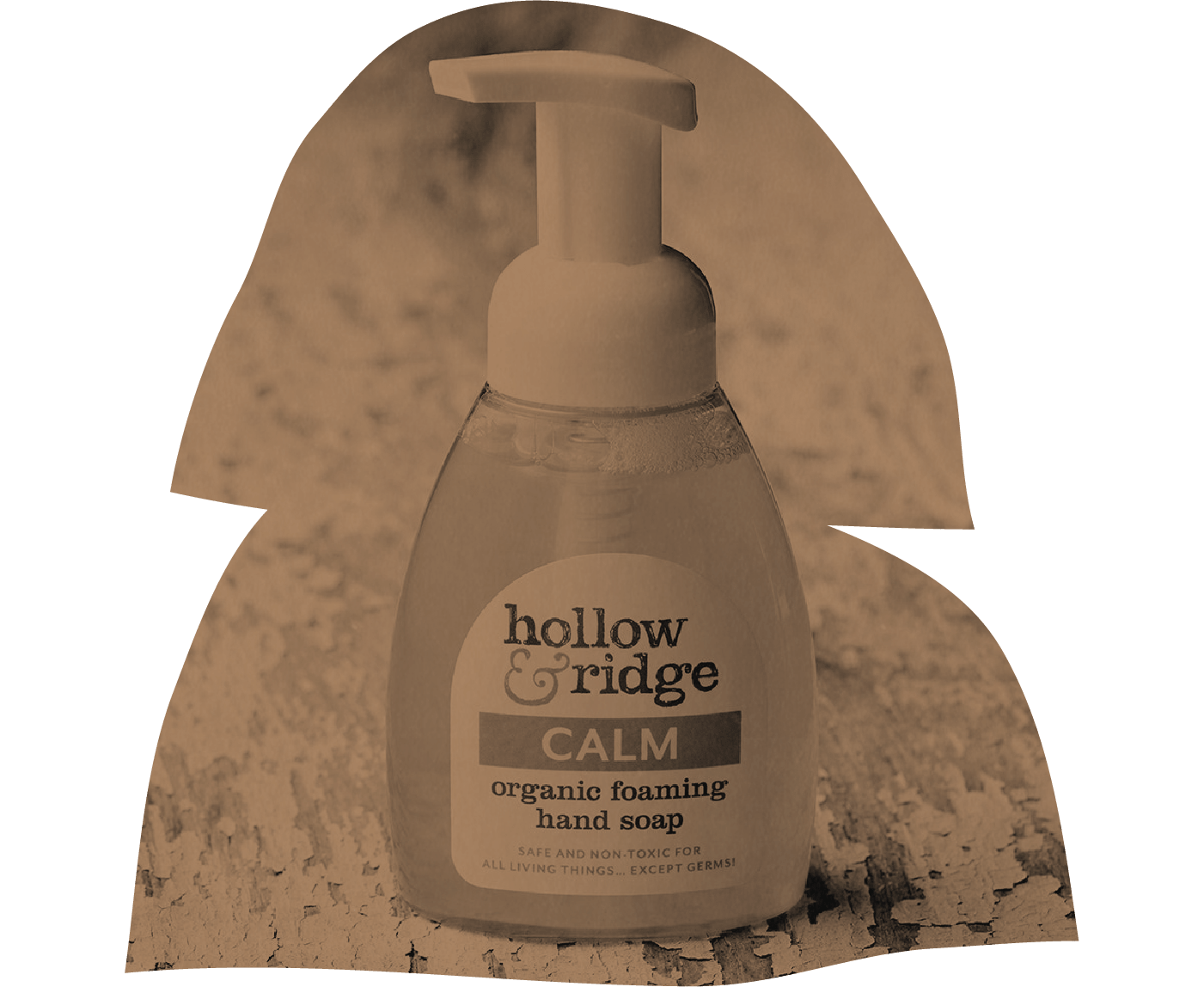 Organic Foaming Hand Soap | Calm, Hollow & Ridge