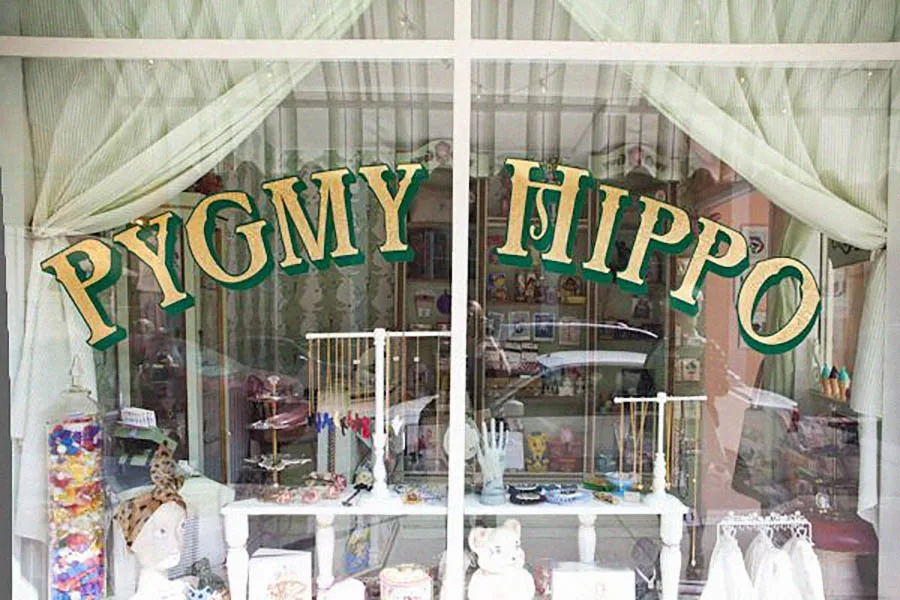 Ask an Expert: Pygmy Hippo Shoppe
