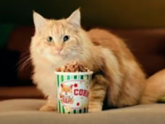 Louis de kat eet popcorn