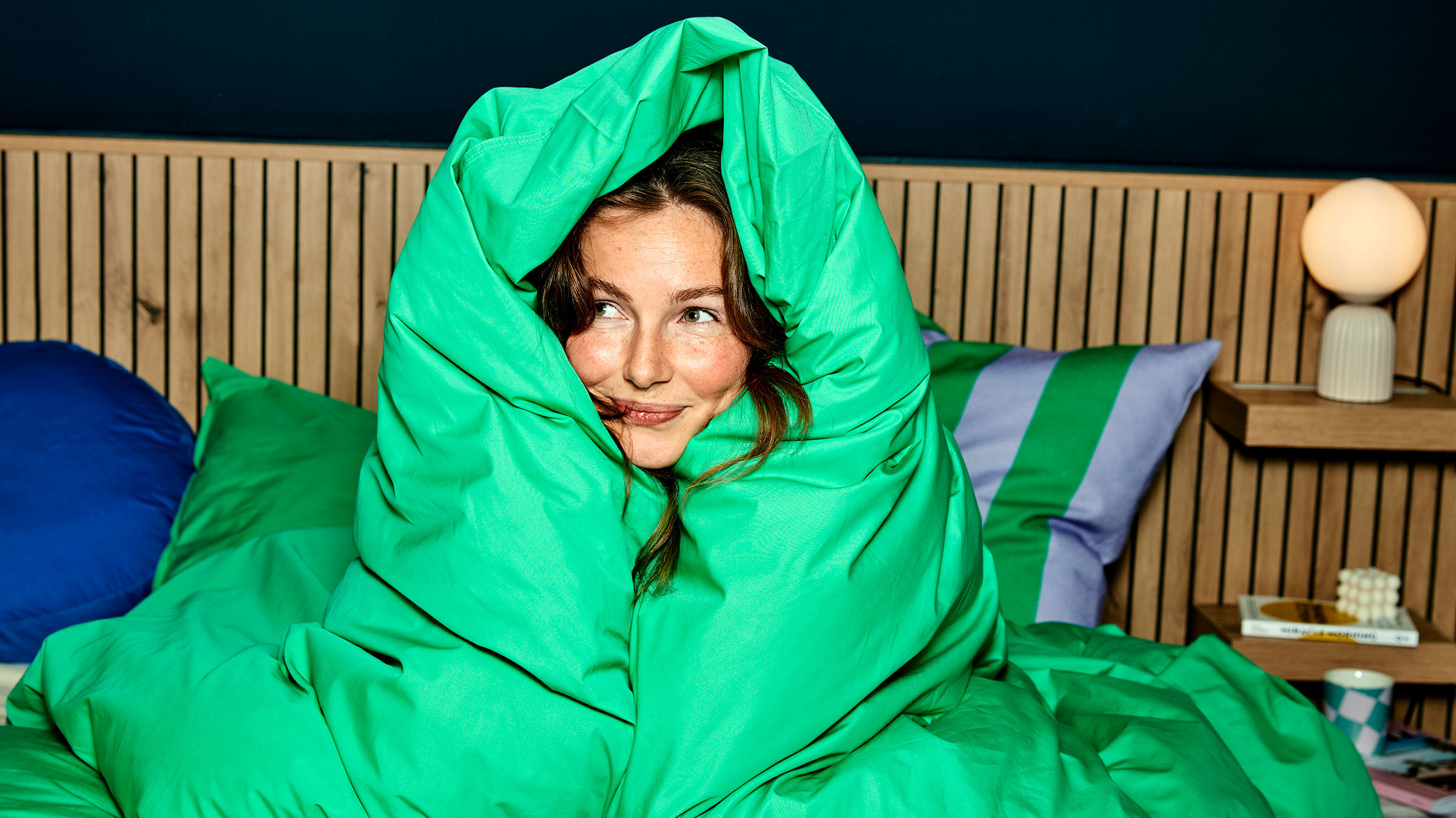 Smart home - wintersale