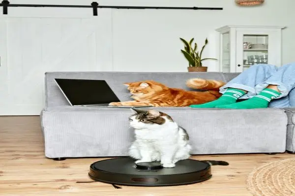 Smarthome twee katten robotstofzuiger laptop