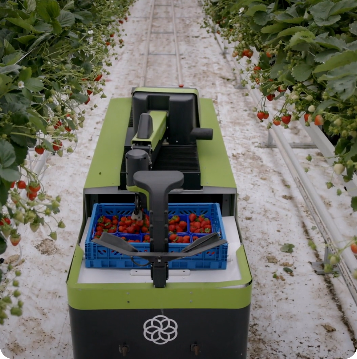 IoT Robotics in een kas met aardbeien