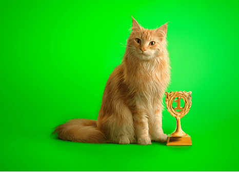 Louis de kat met een prijs