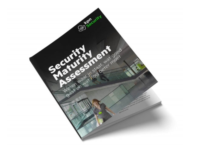 Factsheet Security Maturity Assessment