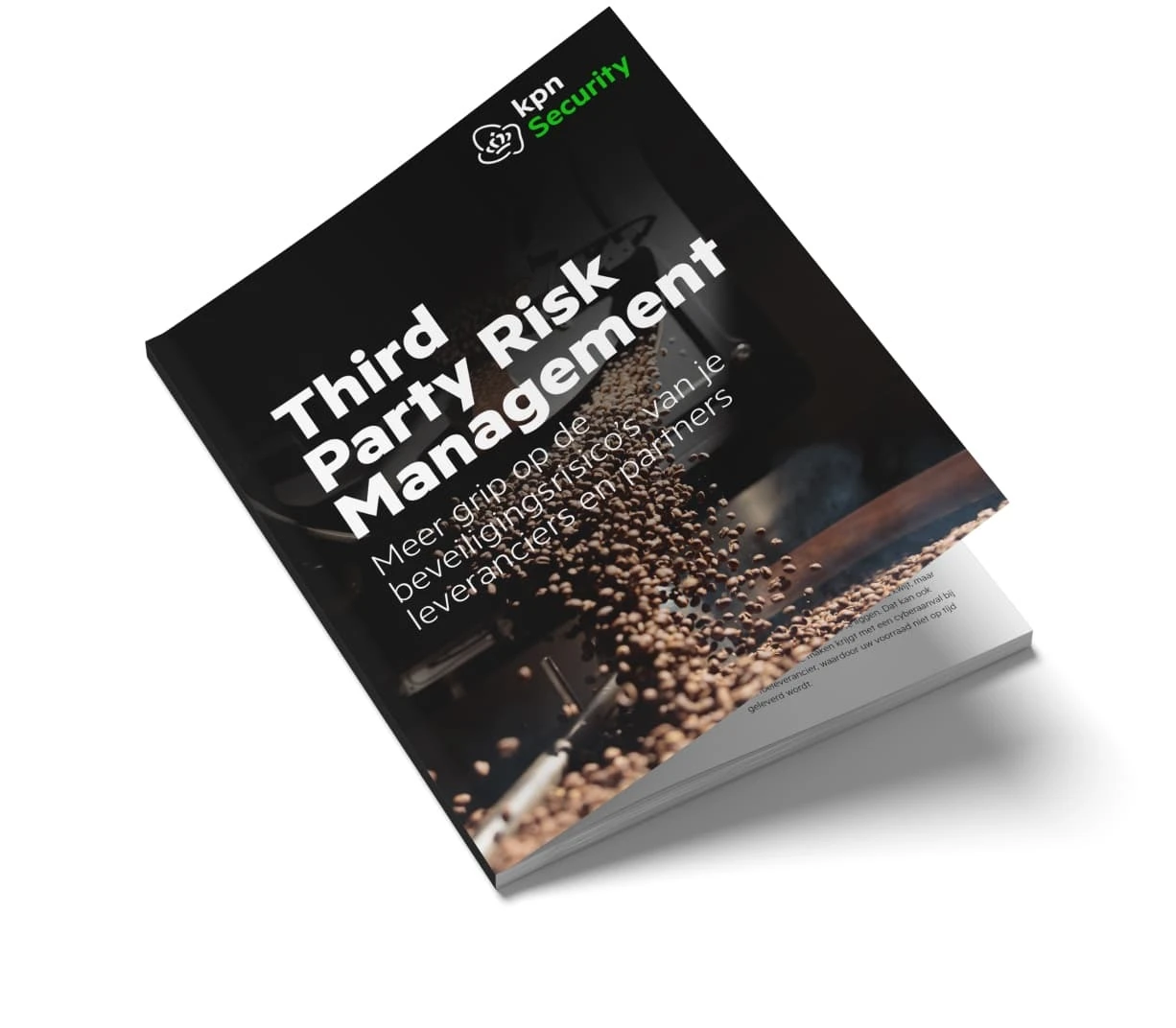 Third Party Risk Management - ebook