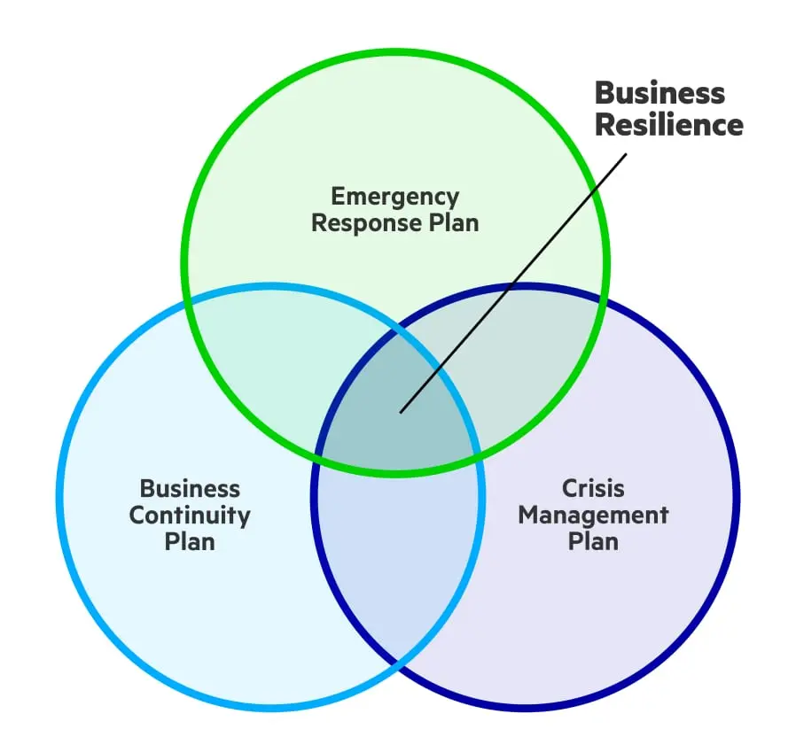 Business Resilience Model