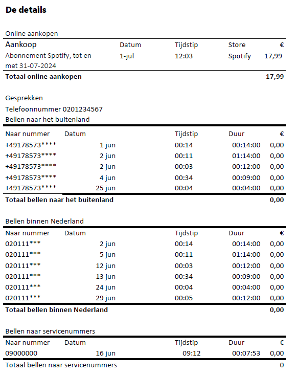 De details van de thuisfactuur