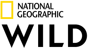 Logo National Geographic Wild